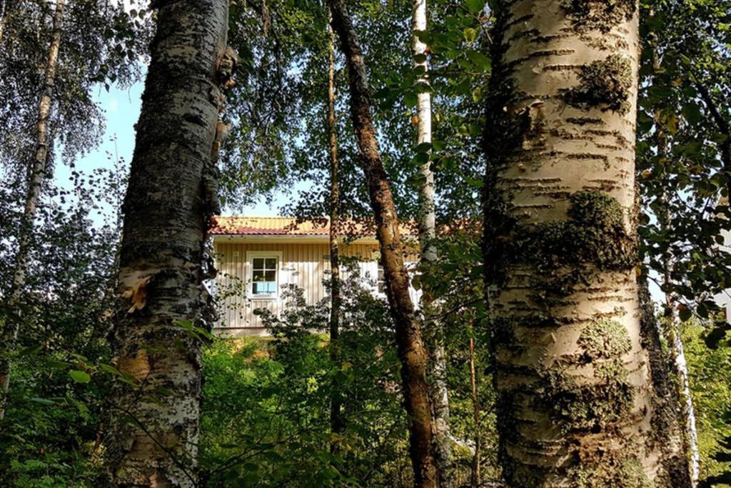 Nybyggd Stuga Intill Skogsbrynet - New Built Cottage Next To The Cowberry Forest Mora Exteriér fotografie